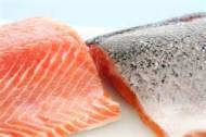5 manfaat salmon bagi kesehatan